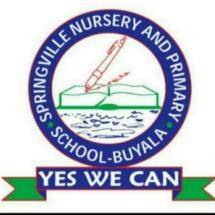 Springville Nursery and Primary School-Buyala