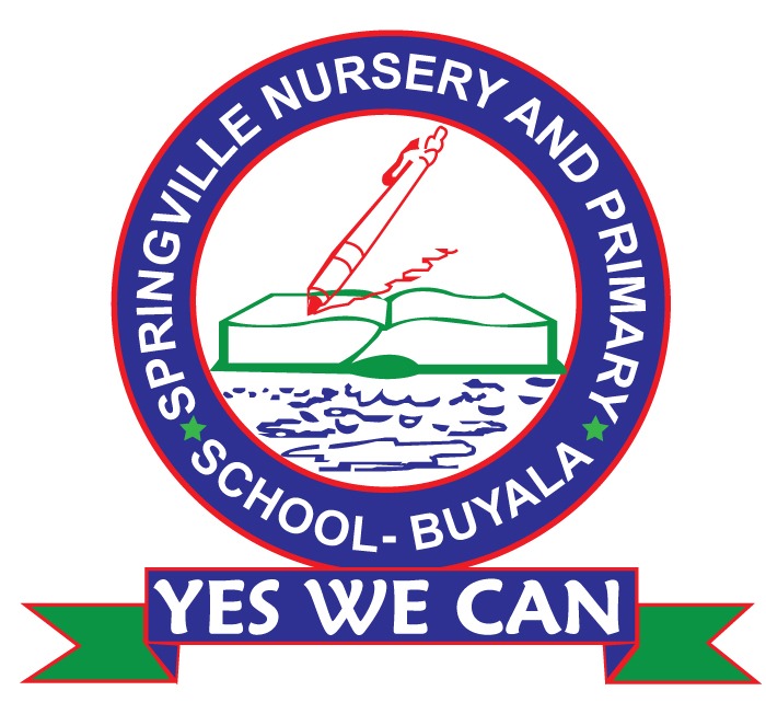 Springville Nursery and Primary School-Buyala